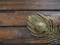 Golden peacock feather. Decorative gilded branch in the shape of a peacock's tail and eyelet. Wooden background