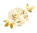 Golden peony flower in oriental trend Royalty Free Stock Photo