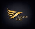 Golden Phoenix, bird brand, animal logo,luxury brand identity for hotel fashion and sports brand concept.