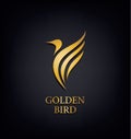 Golden Phoenix, bird brand, animal logo,luxury identity for hotel fashion and sports concept.