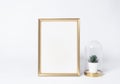 Golden photo frame mock up and plants in vase Interior decor home elements