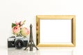 Golden picture frame rose flowers vintage camera Paris travel Royalty Free Stock Photo
