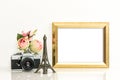 Golden picture frame rose flowers vintage camera Paris travel