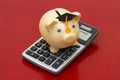 A golden piggy bank with grad cap and calculator on wood background Royalty Free Stock Photo