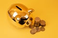 Golden piggy bank with money towers on yellow background. Stack of euro coins near golden money box. Money pig, money saving, Royalty Free Stock Photo