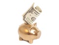 Golden piggy bank with one dollar Royalty Free Stock Photo