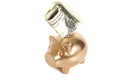 Golden piggy bank with one dollar Royalty Free Stock Photo