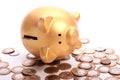 Golden piggy bank with savings in coins of the Brazilian money Royalty Free Stock Photo