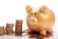 Golden piggy bank with savings in coins of the Brazilian money Royalty Free Stock Photo