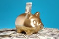 Golden piggybank