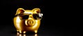 Golden Piggybank Wearing Sunglasses