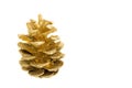 Golden pine cone