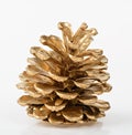 Golden Pine cone