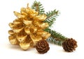 Golden pine cone and branch of Christmas tree