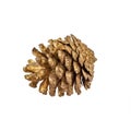 Golden pine cone isolated on a white background. Decoration for a holiday. Royalty Free Stock Photo