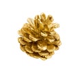 golden pine cone isolated on white background Royalty Free Stock Photo