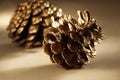 Golden Pine Cones