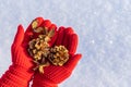 Golden pine cones and decorative new year items in human hands with open palms wearing red knitted gloves. Merry Christmas and