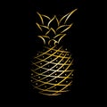 Golden pineapple black background. Isolated vector icon. Vector illustration background