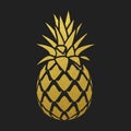 Golden pineapple silhouette on black background