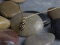 Golden Pinecone Necklace with Rock background Royalty Free Stock Photo