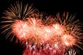 Golden and pink fireworks display on dark sky background Royalty Free Stock Photo