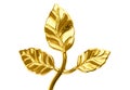 Golden plant