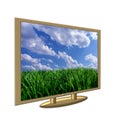 Golden plasma - lcd tv Royalty Free Stock Photo