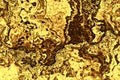 Golden plate background and shiny gold material, metal brass