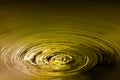 Golden pond Royalty Free Stock Photo