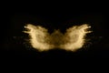 Golden powder explosion on black background. Freeze motion. Royalty Free Stock Photo