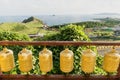 Golden prayer wheels with dragon head at Sanbanggulsa temple, Sanbang-ro, Jeju Island, South Korea