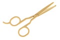 Golden Professional Hairdressing Hair Thinning Scissor, 3D rendering