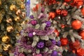 Golden, purple and red Christmas balls hanging on fir branches. Colorful Christmas ornaments and tinsel garlands on fir tree Royalty Free Stock Photo