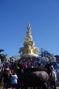 Golden Puxian Buddha at MT. Emei