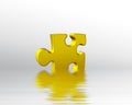 Golden puzzle piece in water
