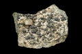 Golden pyrite and dark clinochlore minerals
