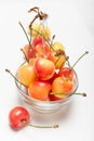 Golden rainier cherries, aged agriculture. Delicious dessert diet food