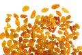 Golden raisins