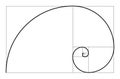 Golden ratio geometric concept. Fibonacci spiral. Vector illustration. Royalty Free Stock Photo