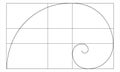 Golden ratio sign. Logarithmic spiral in rectangle. Fibonacci Sequence. Nautilus shell shape. Perfect nature symmetry