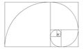 Golden ratio sign. Logarithmic spiral in rectangle. Nautilus shell shape. Leonardo Fibonacci Sequence. Ideal nature