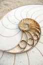 Golden Ratio Spiral Royalty Free Stock Photo