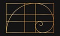 Golden ratio template. Gold logarithmic spiral in rectangle frame divided on lines. Fibonacci sequence grid. Perfect Royalty Free Stock Photo