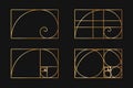 Golden ratio templates. Logarithmic spirals in rectangle frames divided on lines, squares and circles. Fibonacci