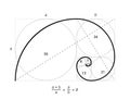 Golden ratio vector proportion spiral section. Fibonacci golden ratio geometry Royalty Free Stock Photo