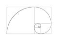 Golden ratio vector proportion spiral section. Fibonacci golden ratio geometry