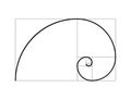 Golden ratio vector proportion spiral section. Fibonacci golden ratio geometry