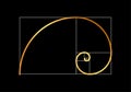 Golden ratio vector proportion spiral section. Fibonacci golden ratio geometry Royalty Free Stock Photo