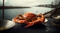 Golden red King Crab seafood Delicious meal food photography Royalty Free Stock Photo